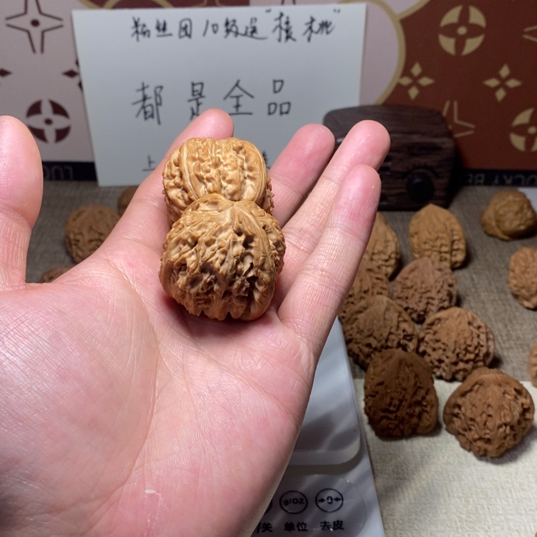 T****核桃全品白狮子43尺寸