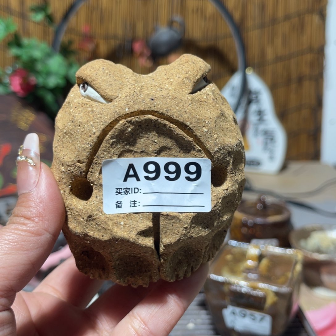 木村信弘柴烧保平