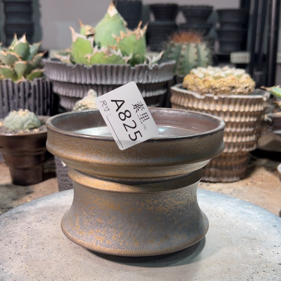 景德镇素里手工内口14高10.5