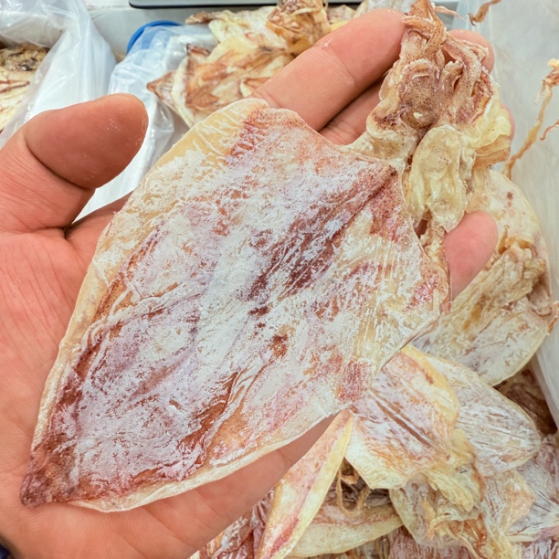 【马鲛仔海产冰冰】A3鱿鱼海鲜干新鲜淡晒250/500g顺丰包邮博贺港