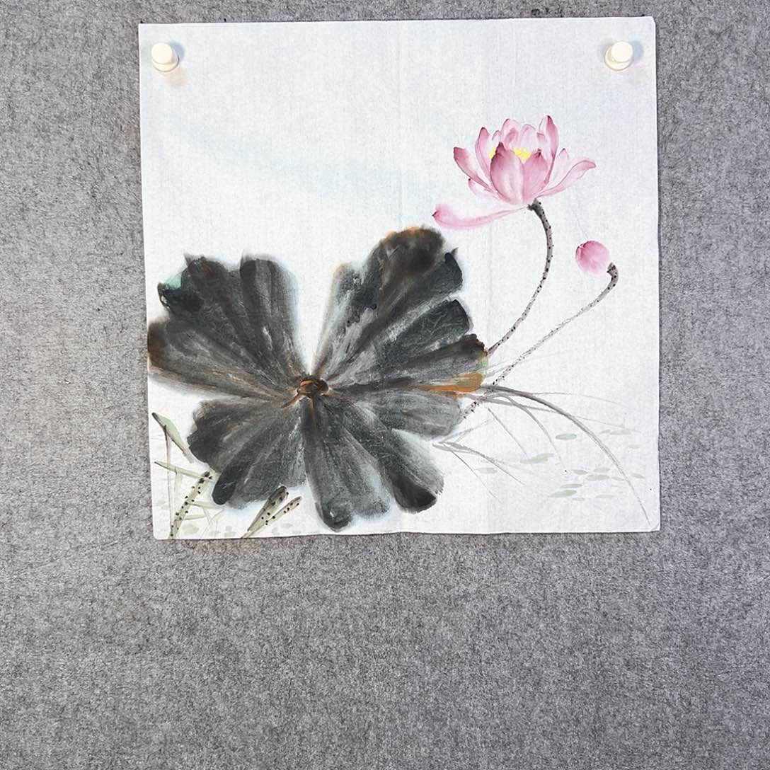 国画698 花鸟在树丛的顶端鸣叫叫声