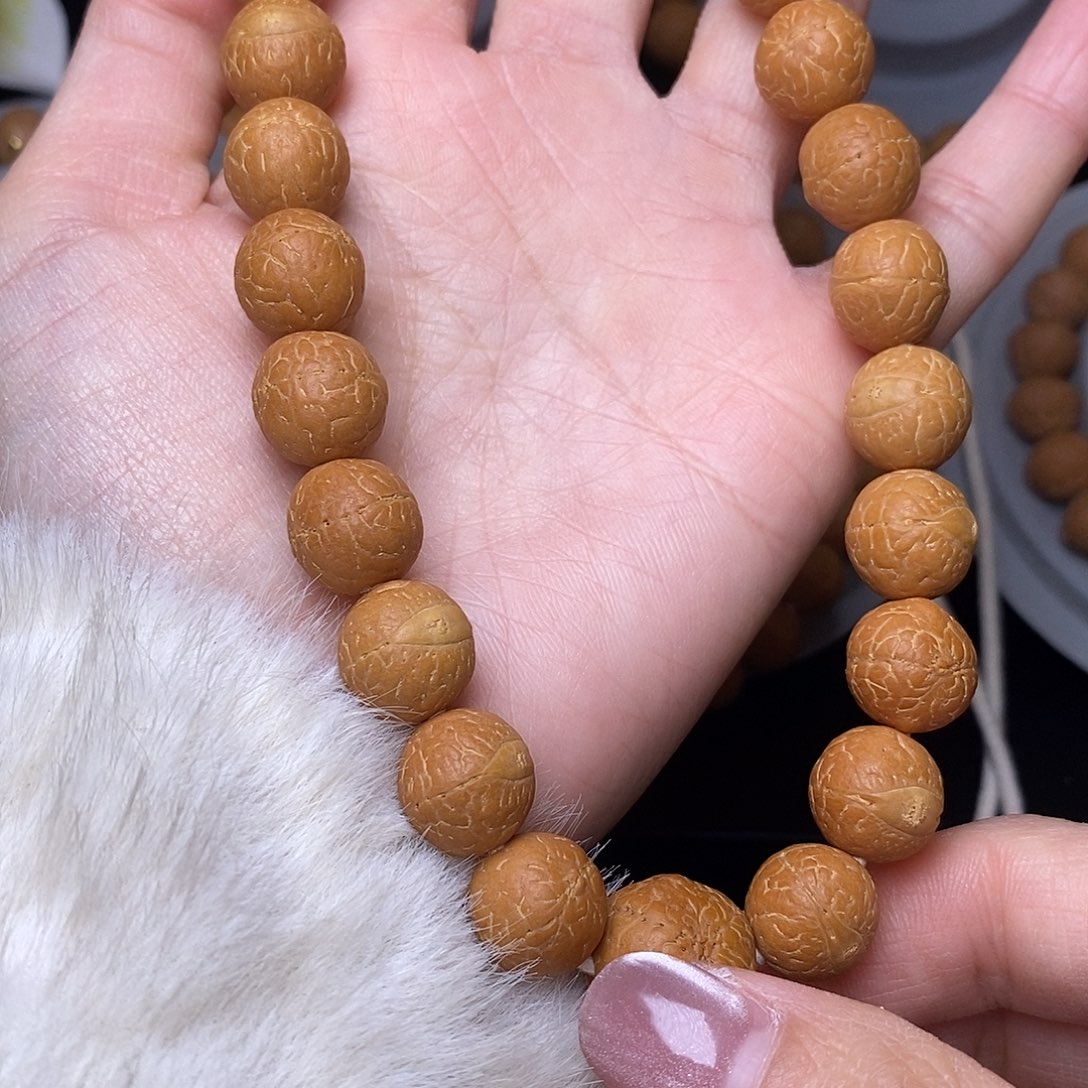 12➕菩提手持25新籽