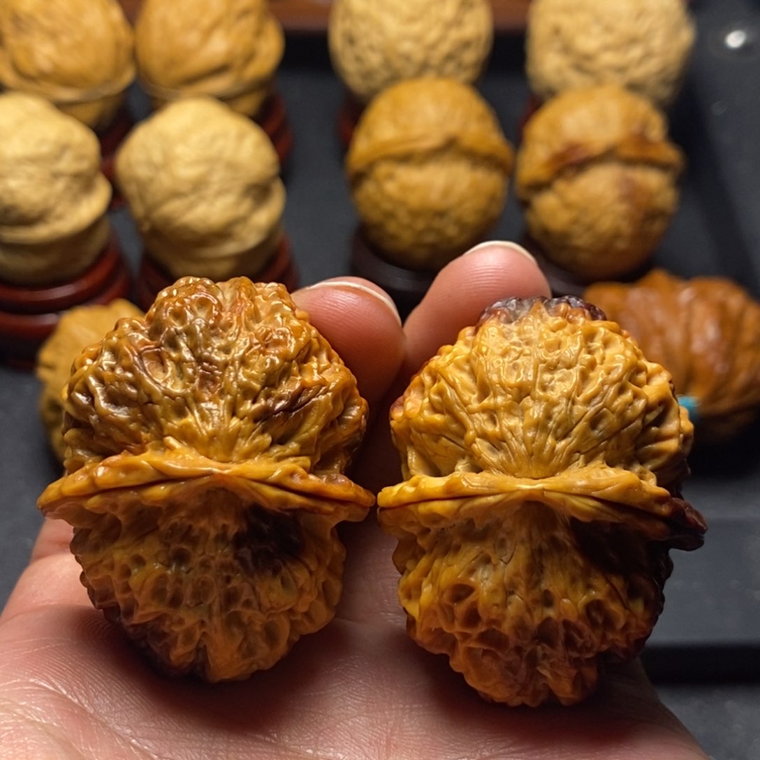 文玩核桃把件44尺龟背红珊瑚