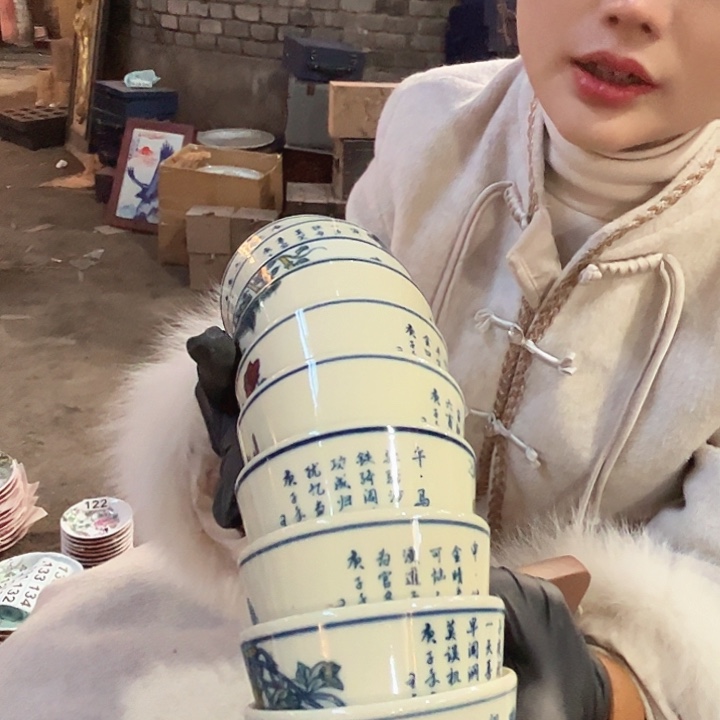 陶其他景德镇高温瓷一套12生肖