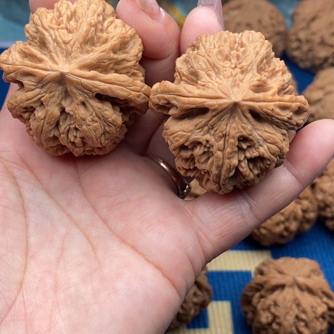 文玩核桃把件粗筋44