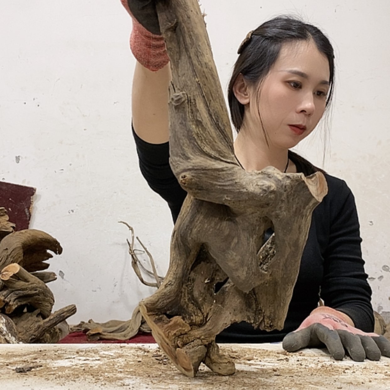 【闪购商品】柏木叫****卡我们都是好孩子