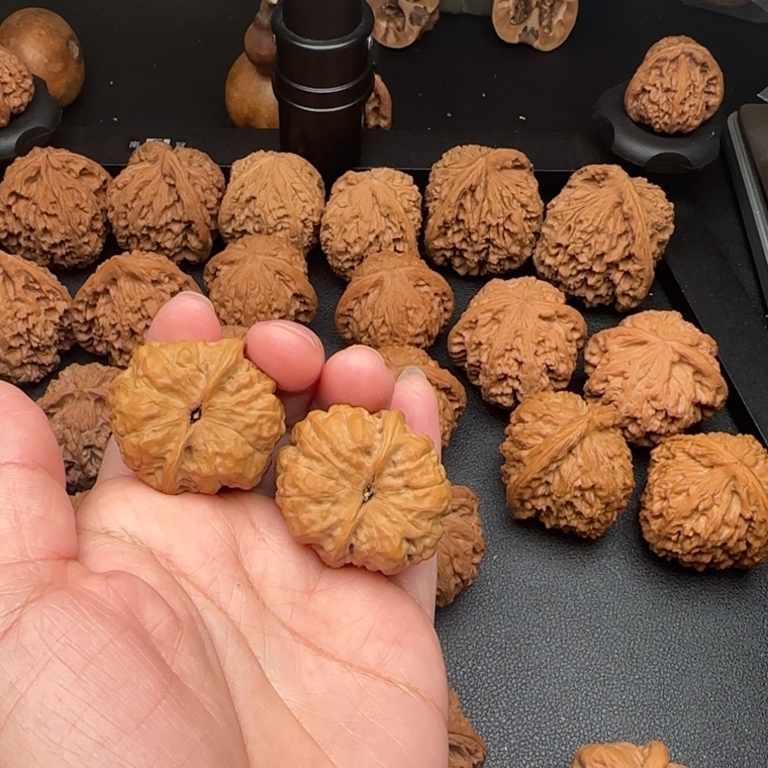 37尺无修蛤蟆头手捻