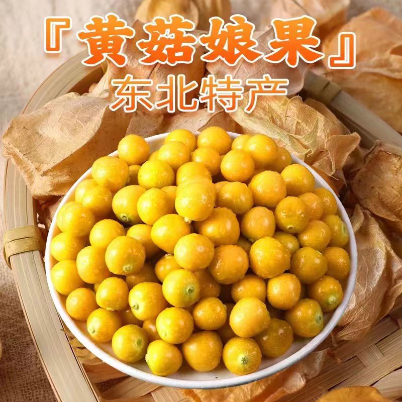 东北黑龙江特产新鲜姑娘果香甜多汁应季水果灯笼果