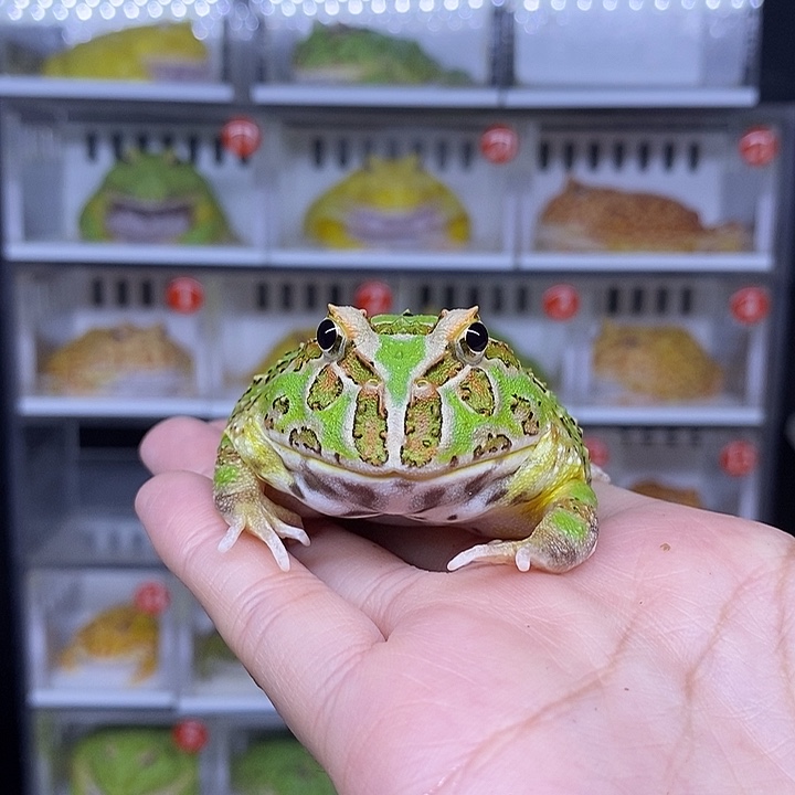 特价秒杀现货供应