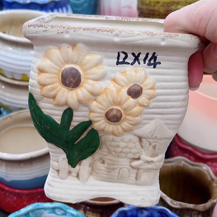 多肉绿植陶瓷花盆9.9包邮，有空