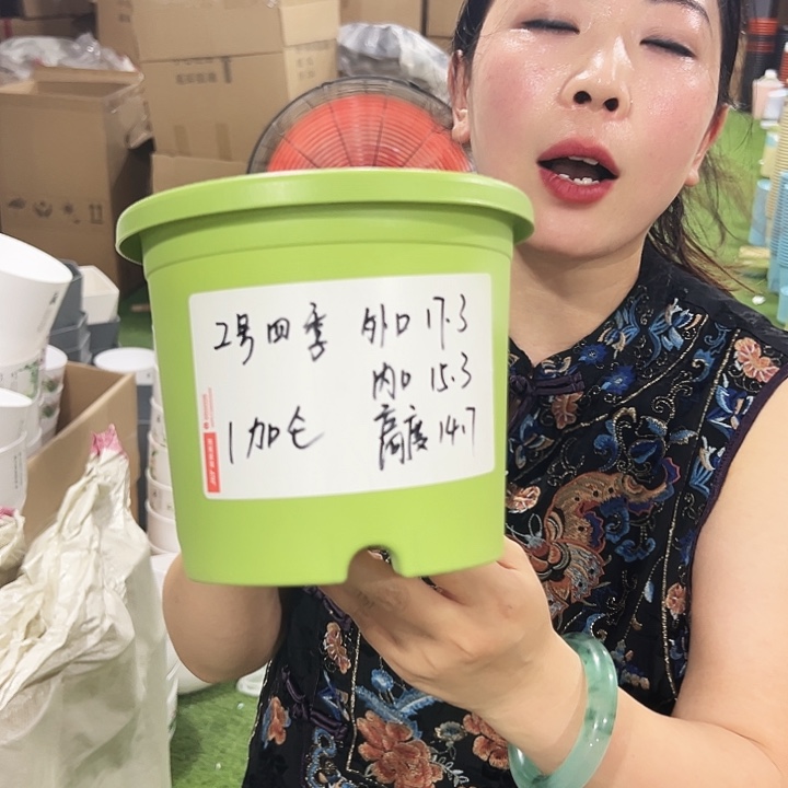 特价2号四季口17高18白色10只无托