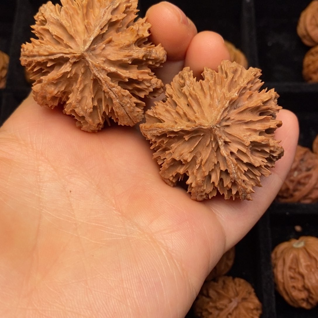 文玩核桃吊坠秦岭野生核桃