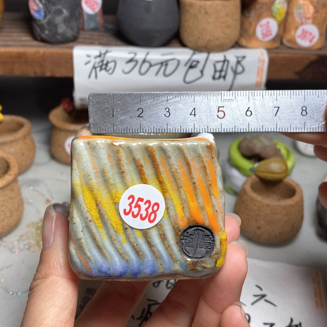 红陶拍5送一个小