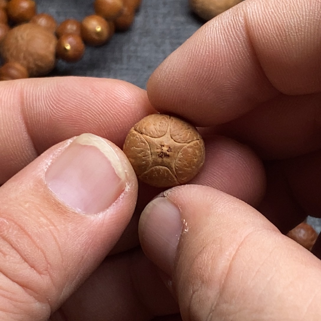 凤眼菩提手串#****z17.6单粒