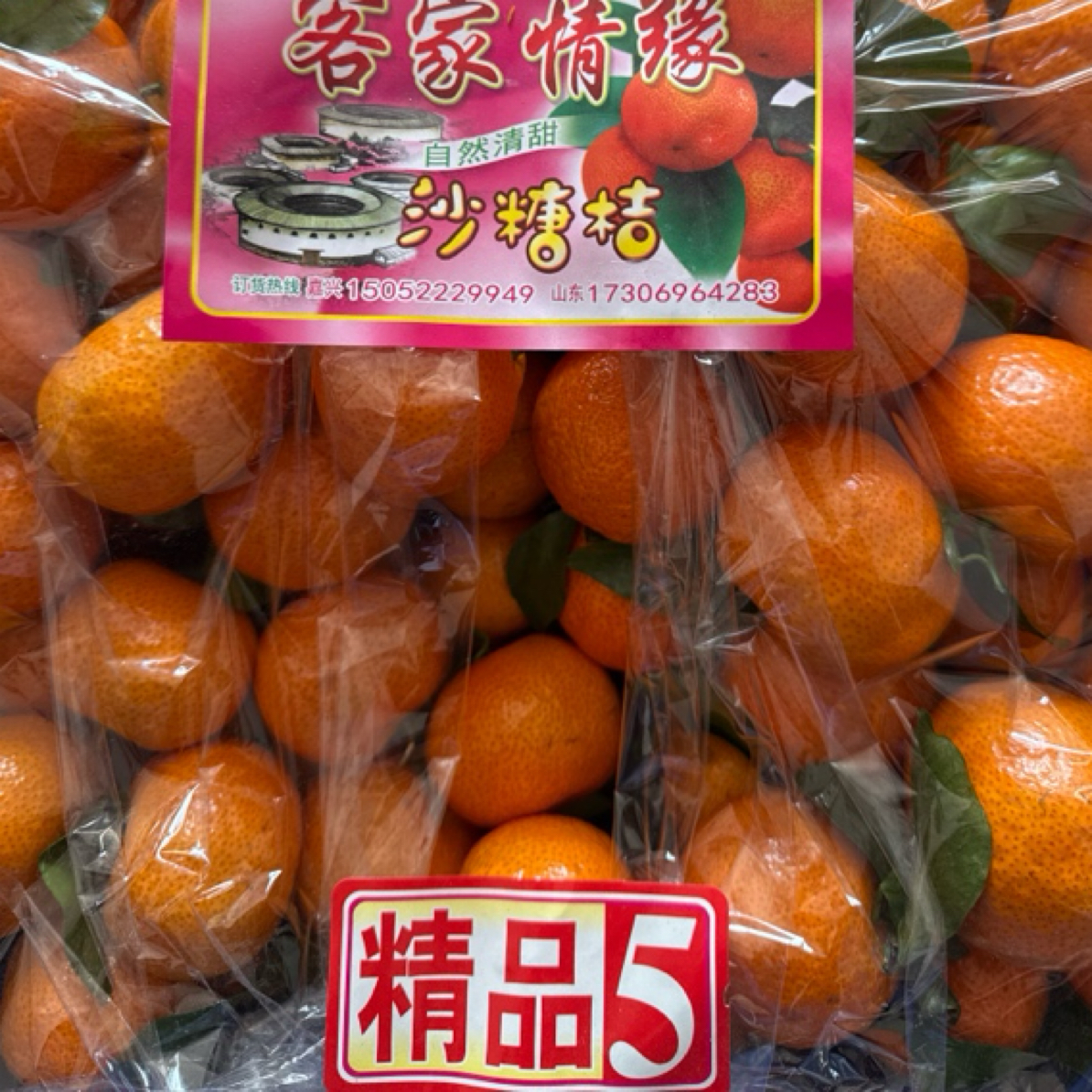 云南客家精品5A大果砂糖橘包甜特别新鲜19.9元4斤同城一小时内送到家门口云南省