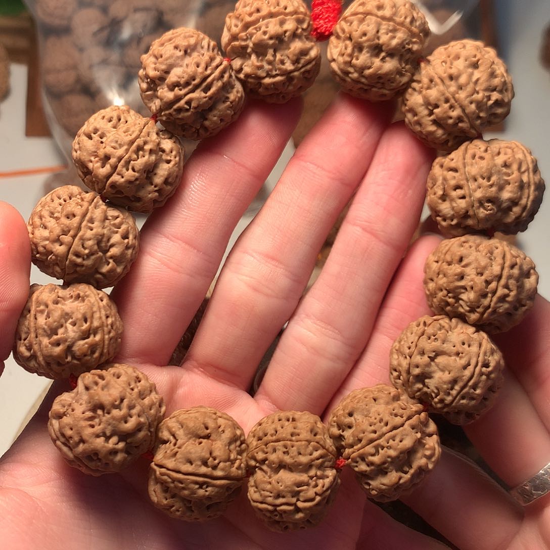 金刚菩提手串23古龙蜂王梅花超头