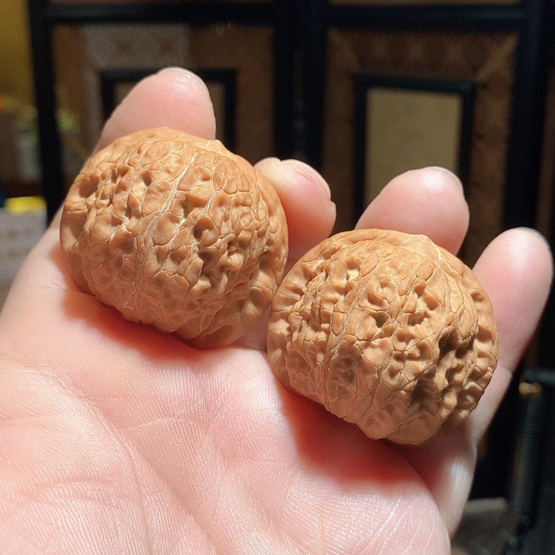 文玩核桃把件39血麒麟全品