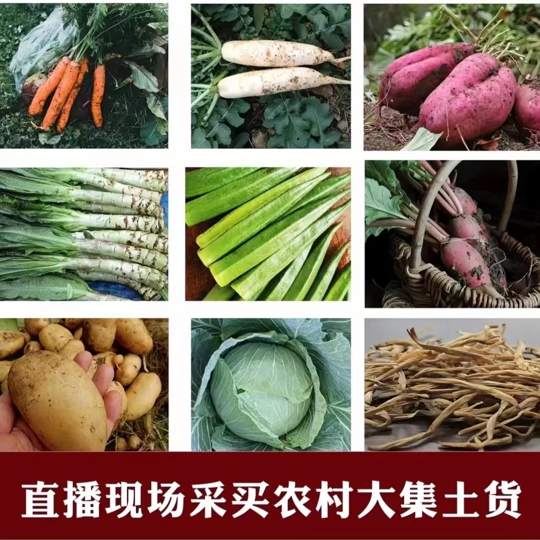 百里杜鹃本土农产品（7）