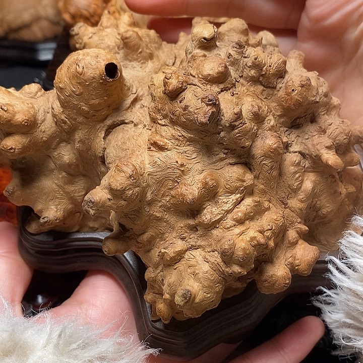 荔枝木荔枝木荔枝木