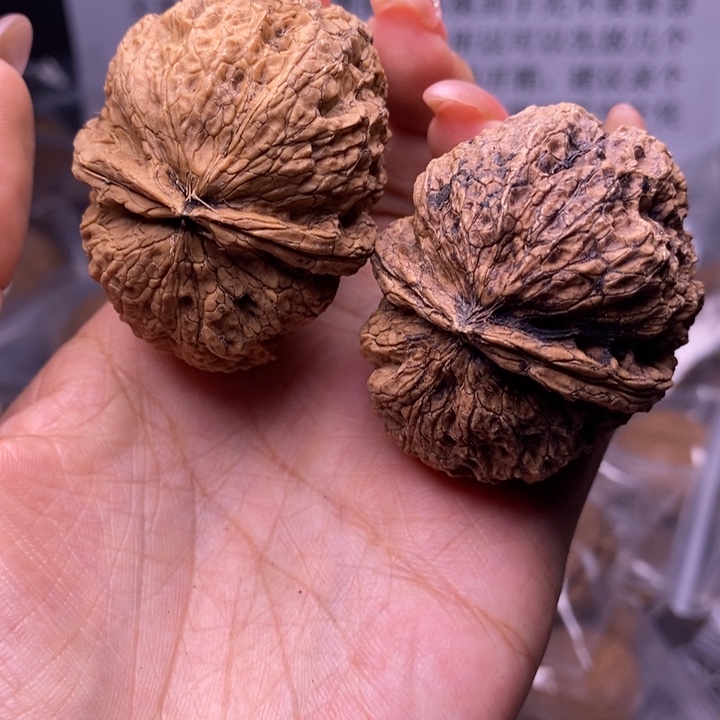 核桃云南野生铁核桃42号46