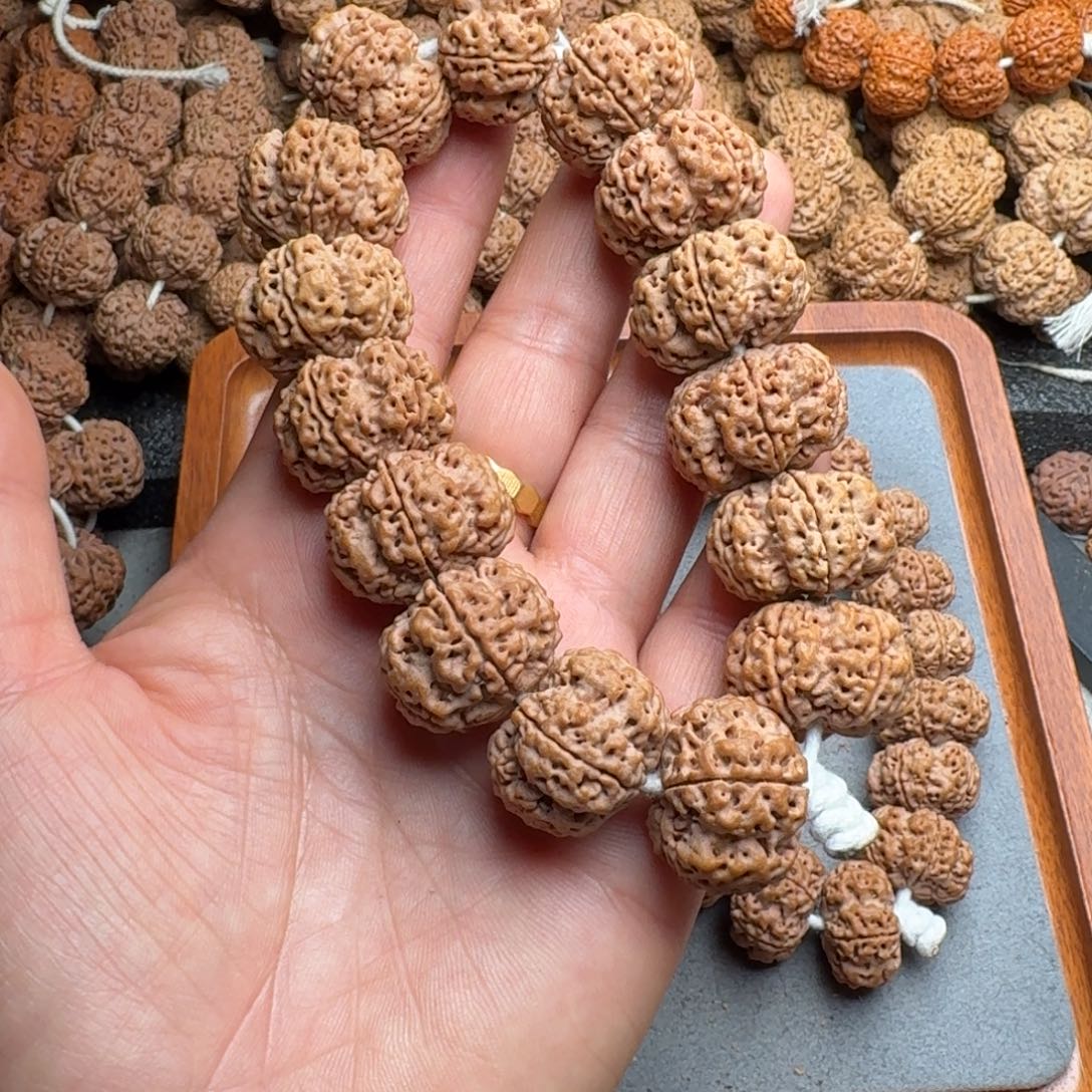 好***月菩提菩提3号尼泊尔大金刚24夹板