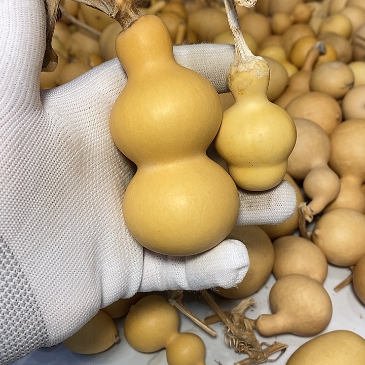 俺***人精品葫芦手把葫芦34