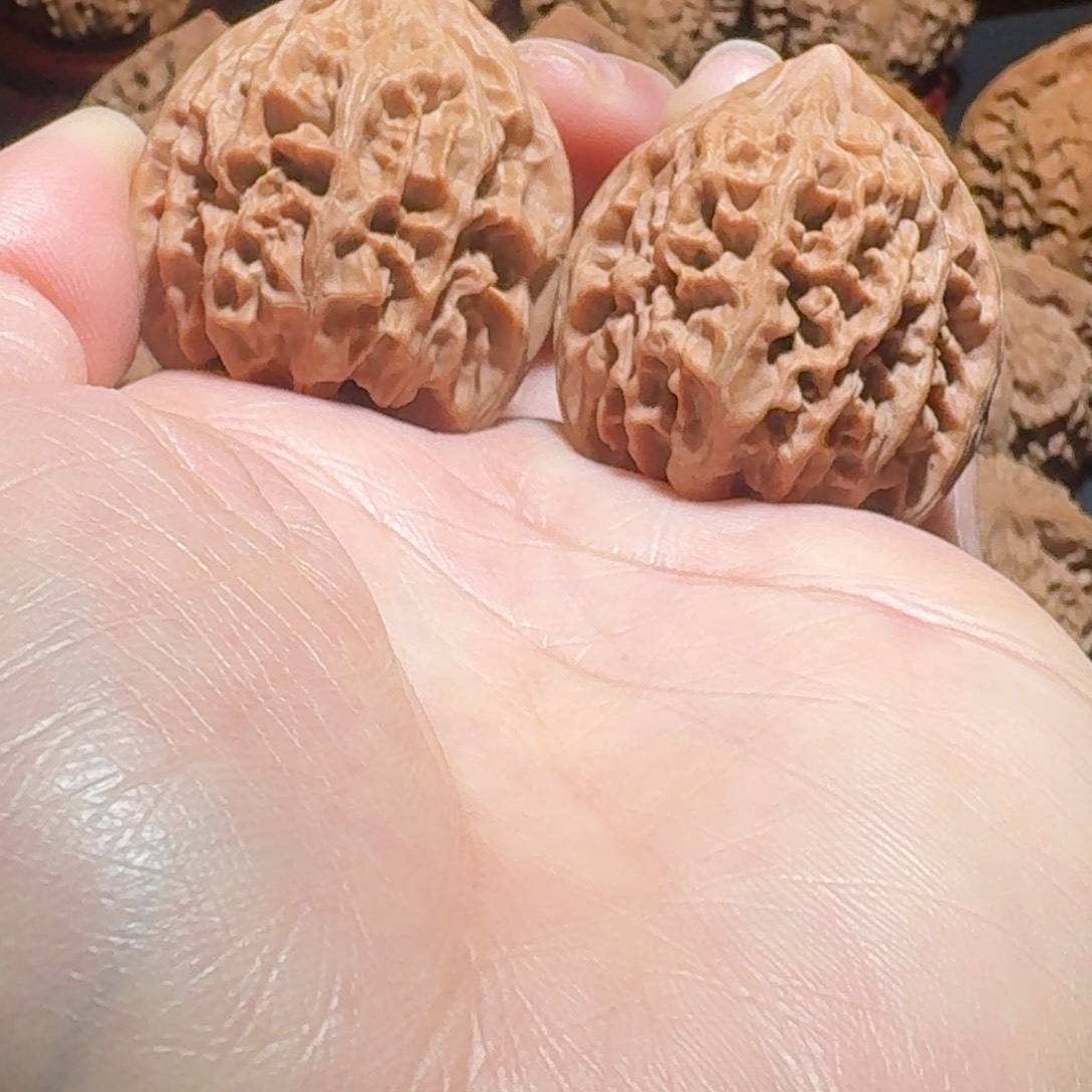 木质类野牛35全品