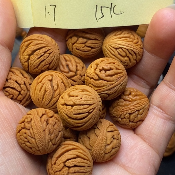 吊坠桃核秦岭龙纹桃核17尺寸