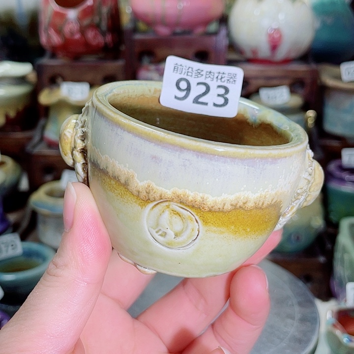 狼盆内口径6高度5