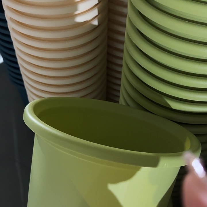 四季6号果绿盆7个➕配套托盘3个