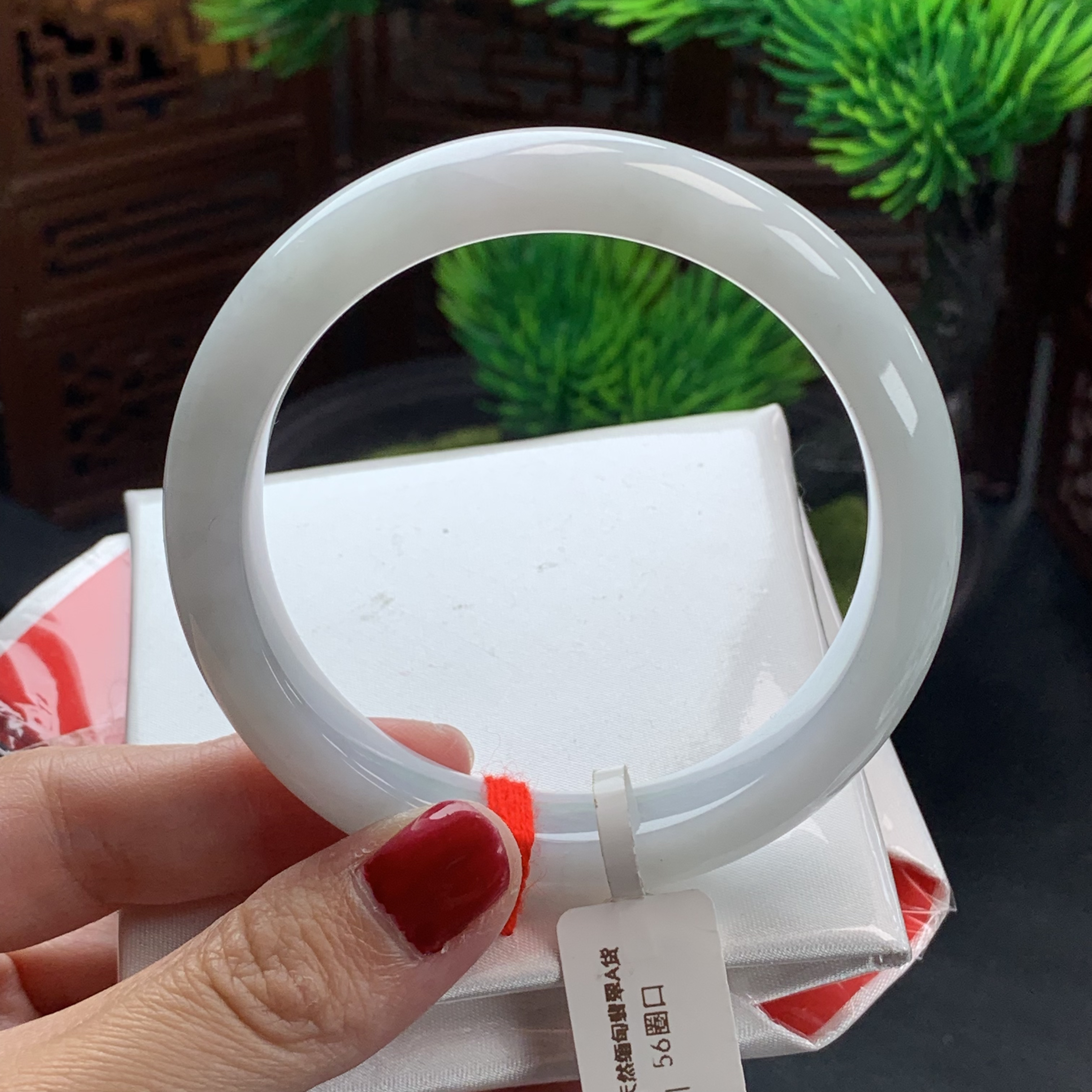缅甸天然翡翠A货手镯56圈口白月光正圈