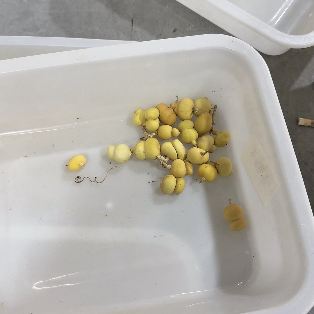 木20个2块的蛋糕店就