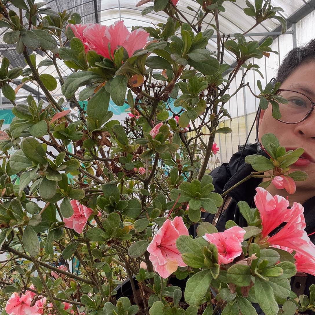 -***王完全开放云隙两颗