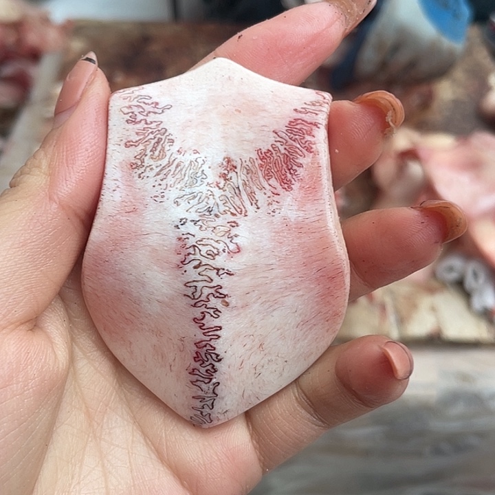 养殖鹿骨三界牌子