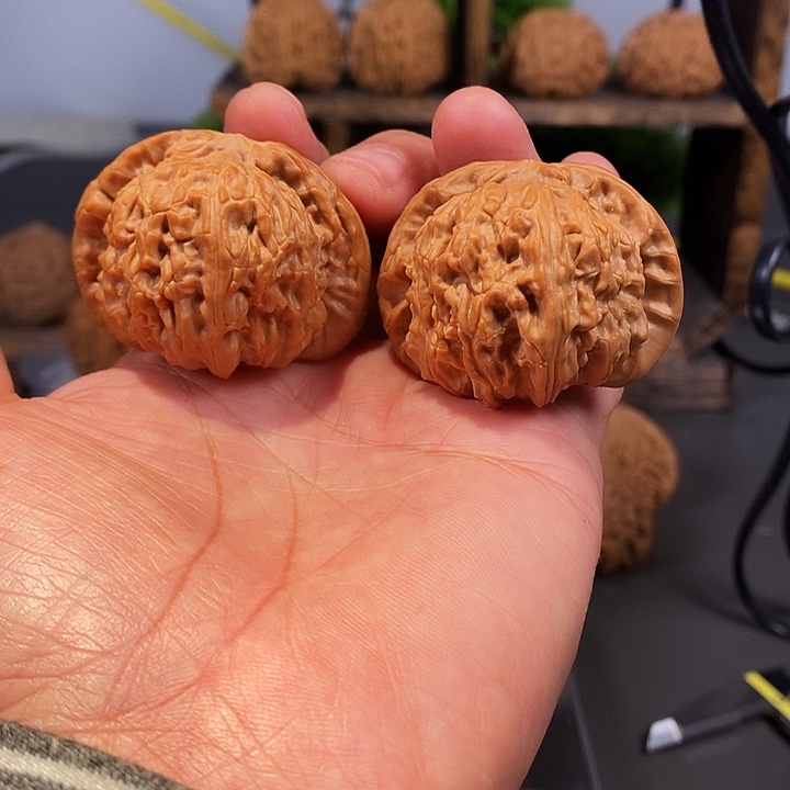 文玩核桃把件大白狮子红皮大果骨质棒