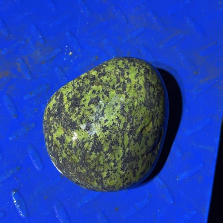 随***舞益茶堂祝您生活愉快