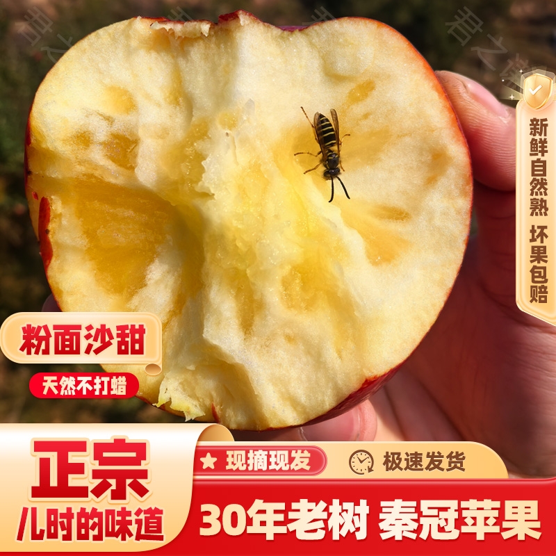 沙粉面甜苹果秦冠陕西10斤刮泥香红蛇牛老人婴儿新鲜水果脆粉两吃