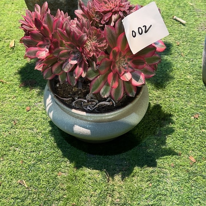 幸***伱002倾城缀化法师一颗