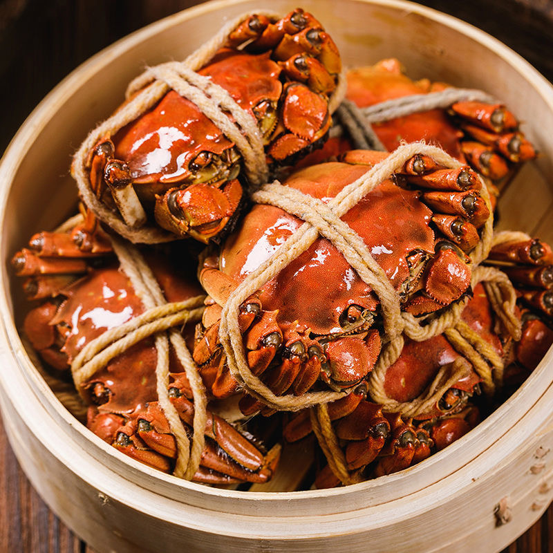 【活蟹】公母蟹母4.5-4.8两公蟹4两洪泽湖大闸蟹6只死蟹包赔