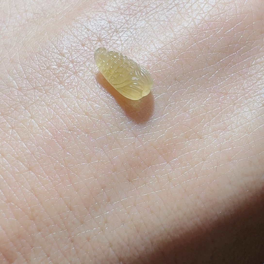 定制翡翠未镶嵌天然翡翠玉米