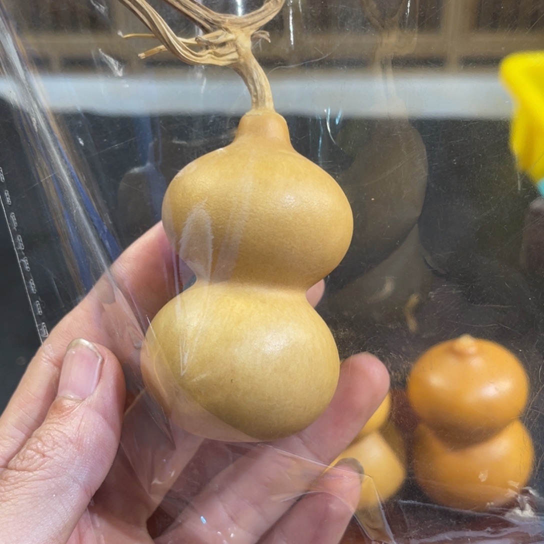 ****啦葫芦葫芦葫芦葫芦