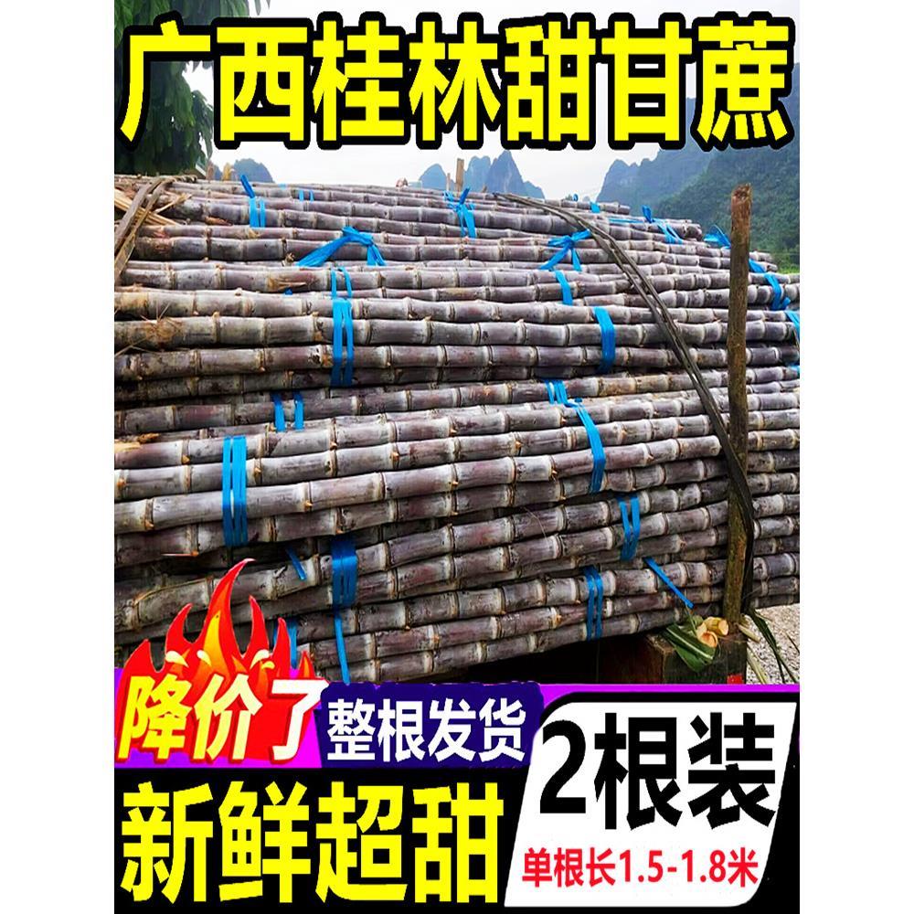 整根广西桂林新鲜甘蔗10斤热带水果当季整箱甜杆脆皮甘蔗