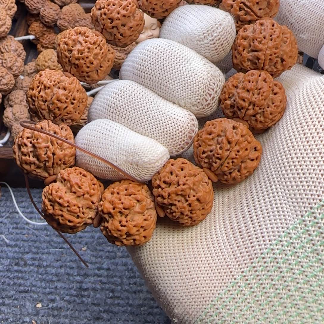 菩提金刚菩提23梅花