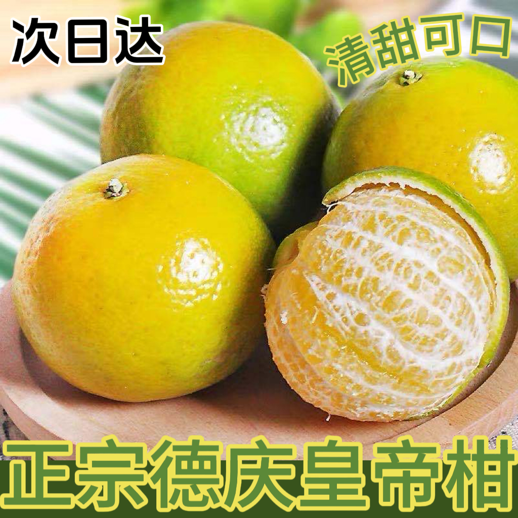 【次日达】广东德庆正宗皇帝柑贡柑新鲜现摘皮薄肉厚多汁当季水果广东省