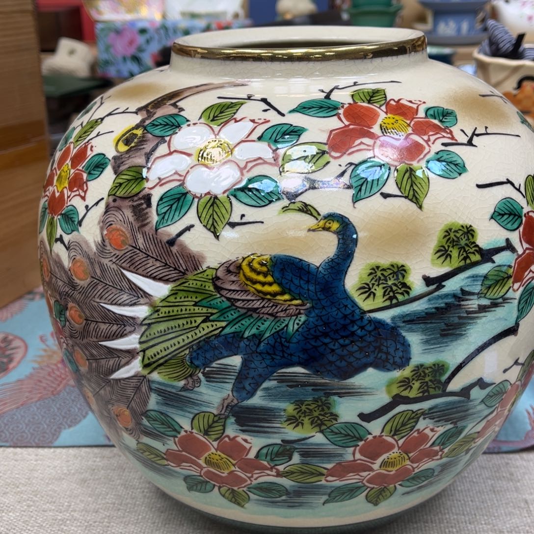 我的姐姐们好可爱