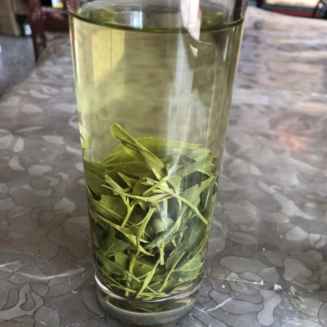 河南信阳毛尖商城高山绿茶毛茶2025新茶大叶秋茶100_5000g秋老白