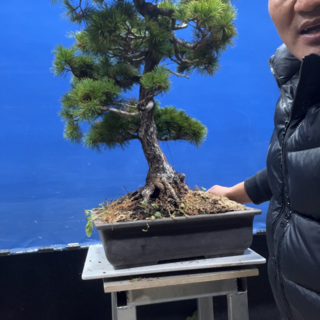 无花朵8888888888888