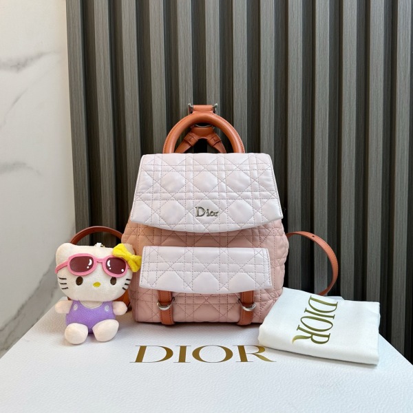 95新/迪奥/包包/250123IQ0012/C6846924144