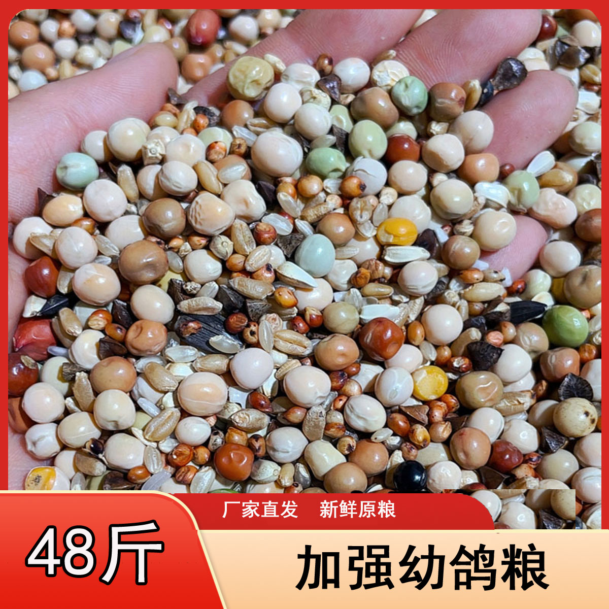 龙领鸽粮  加强幼鸽粮  10/20/48斤/袋肉鸽信鸽种鸽鸟食包邮
