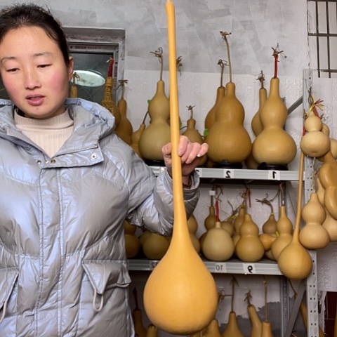 木*?天然植物葫芦文玩